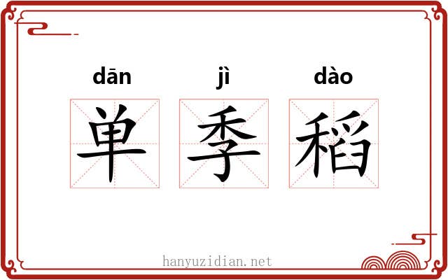 单季稻 单季稻