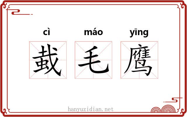 蛓毛鹰 蛓毛鹰