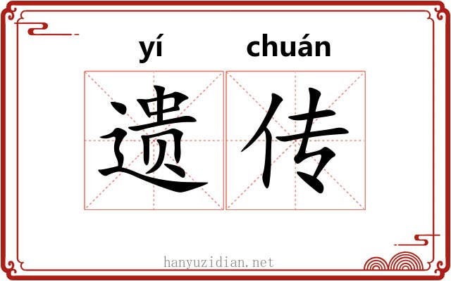 遗传 遗传