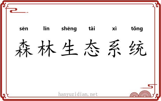 森林生态系统