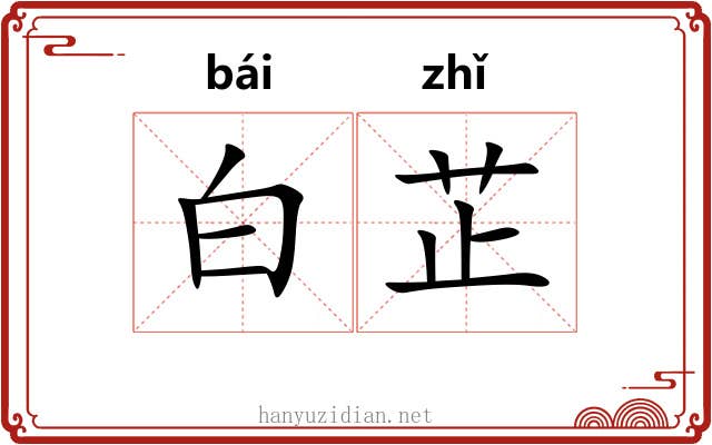 白芷 白芷