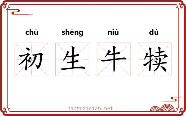 初生牛犊