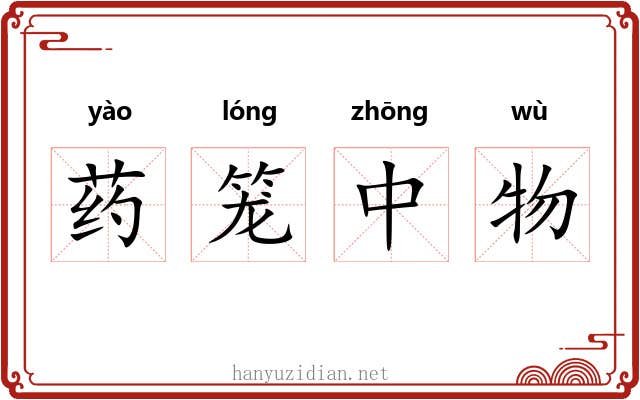药笼中物