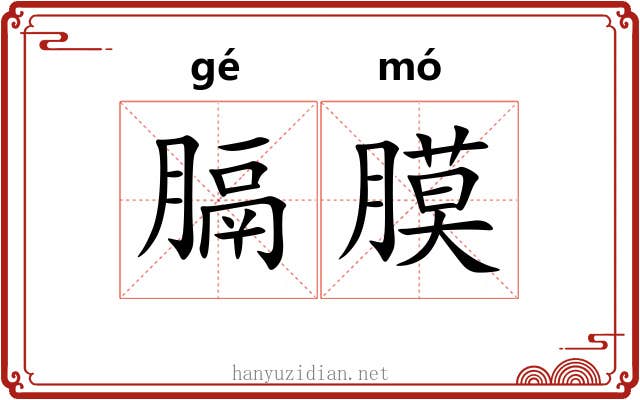 膈膜