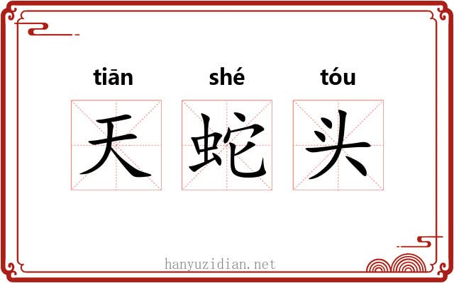 天蛇头 天蛇头