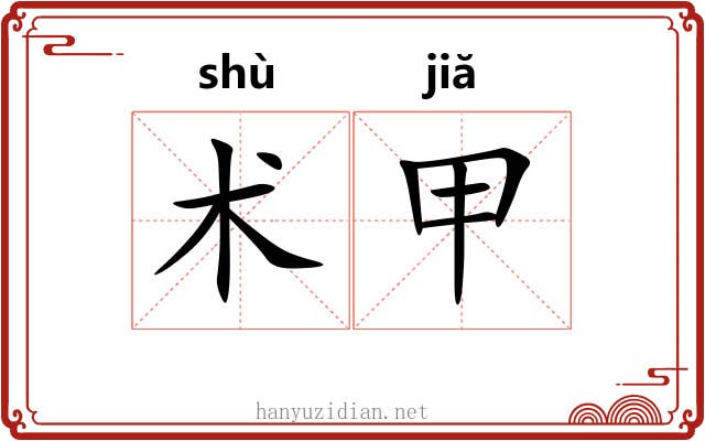 术甲 术甲