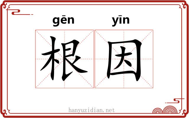 根因 根因