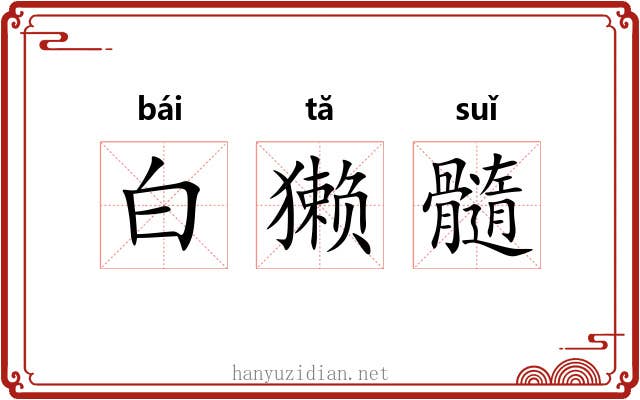 白獭髓 白獭髓