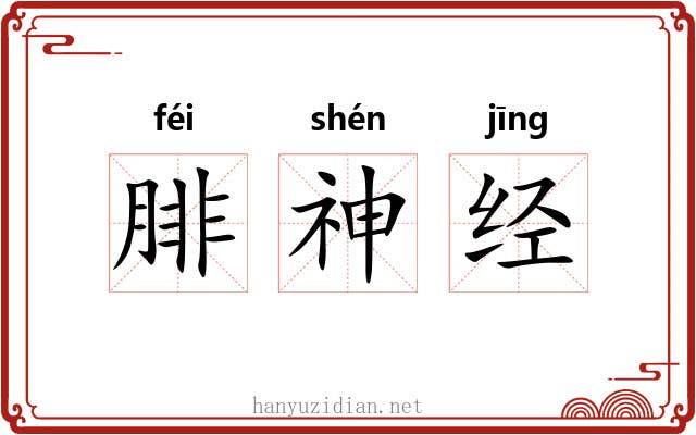 腓神经