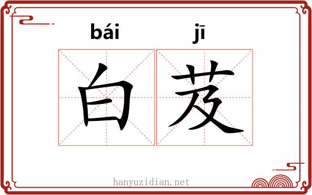 白芨 白芨