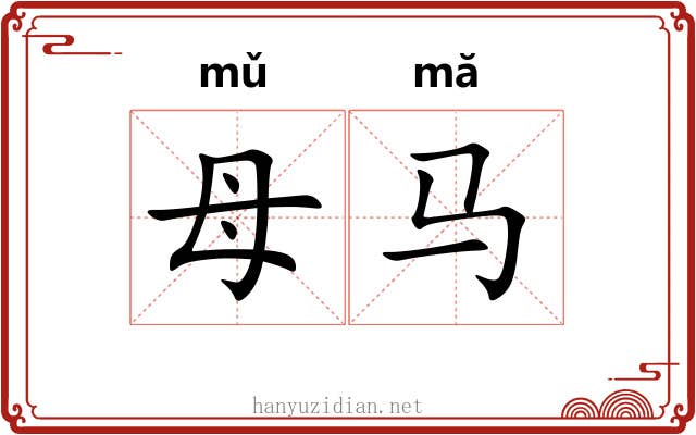母马