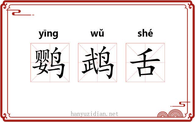 鹦鹉舌