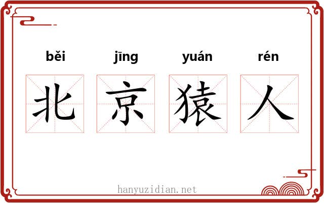 北京猿人 北京猿人