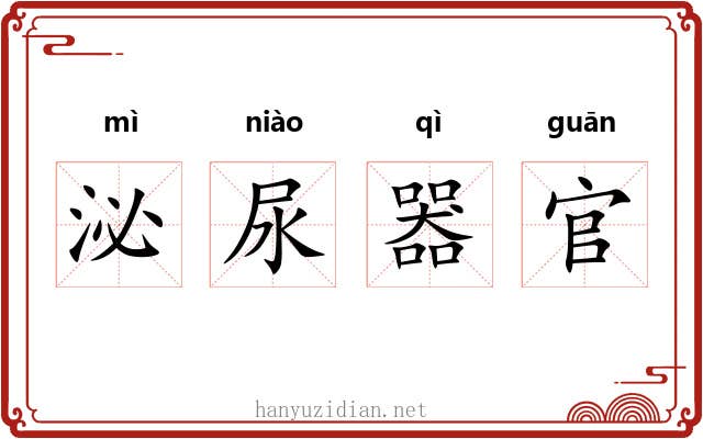 泌尿器官