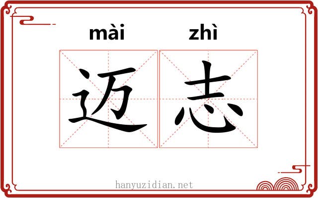 迈志