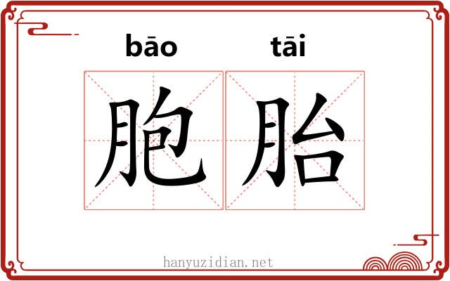 胞胎 胞胎