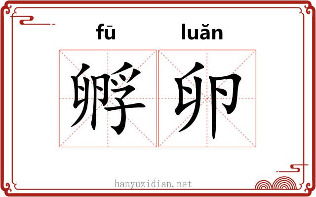 孵卵