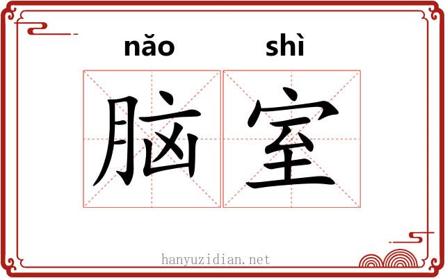 脑室 脑室