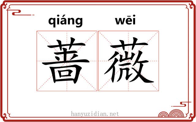 蔷薇 蔷薇