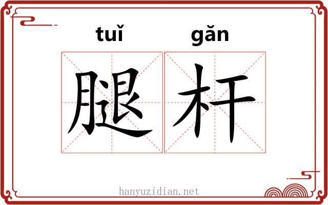 腿杆
