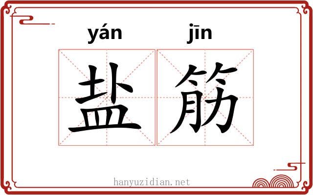 盐筋 盐筋
