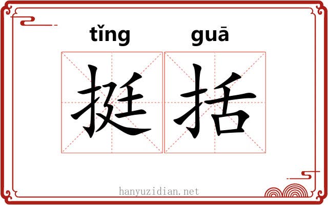 挺括