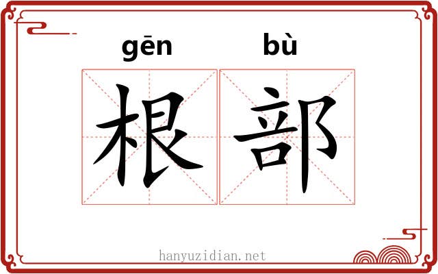 根部 根部