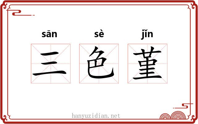 三色堇