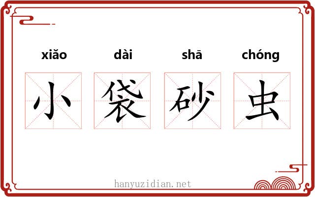 小袋砂虫