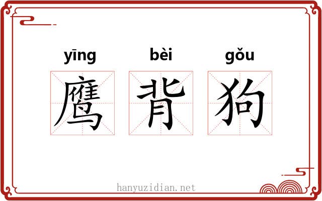 鹰背狗