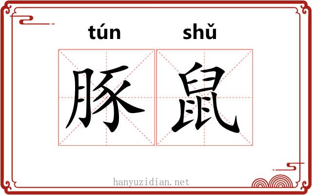 豚鼠
