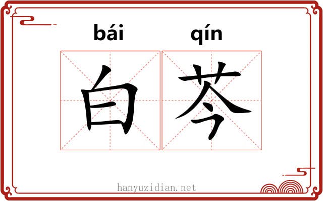 白芩 白芩