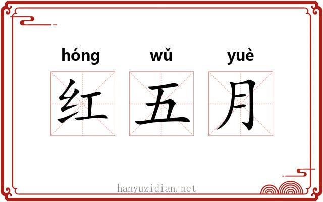 红五月 红五月