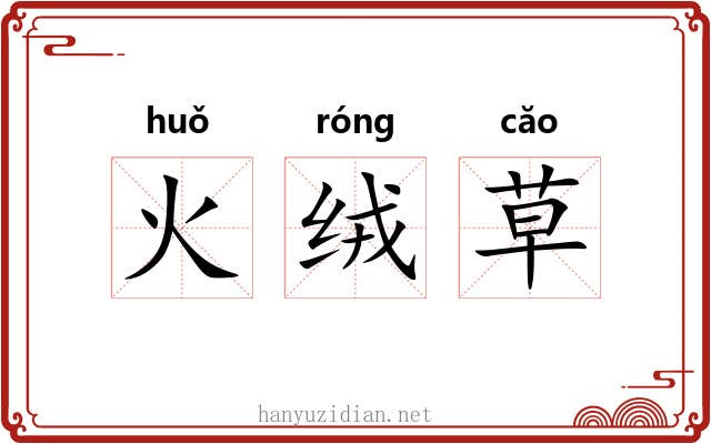火绒草 火绒草