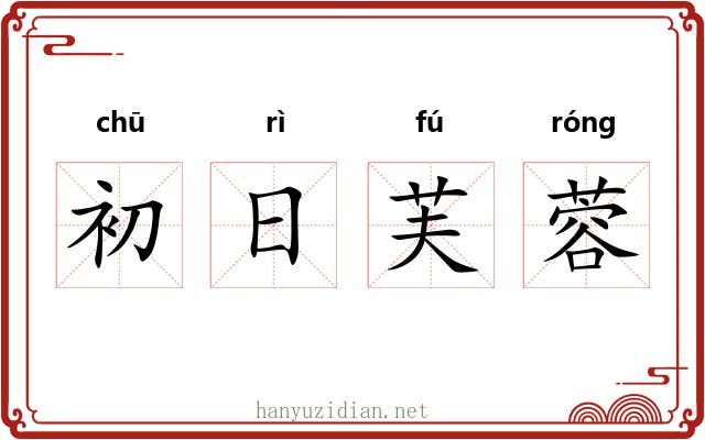 初日芙蓉