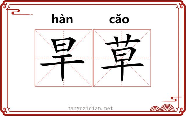 旱草 旱草
