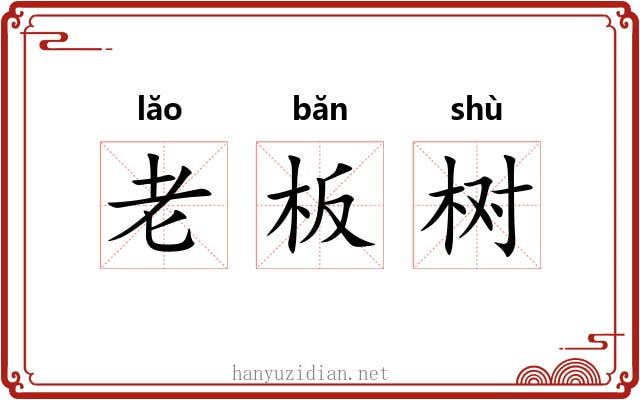 老板树