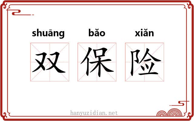 双保险 双保险