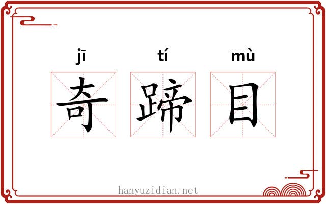奇蹄目