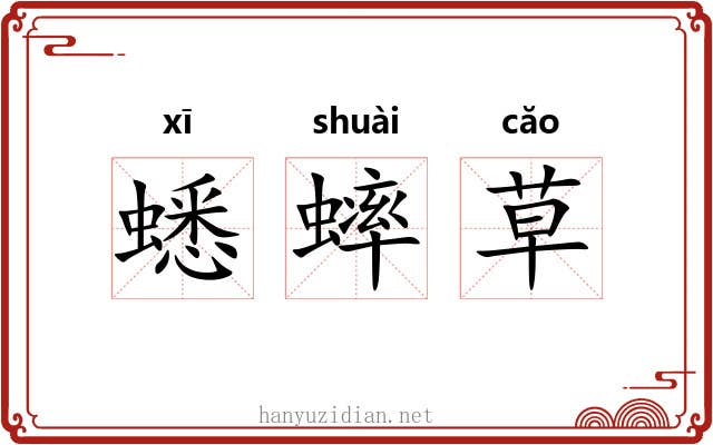蟋蟀草 蟋蟀草
