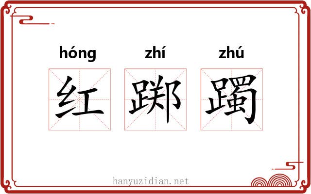 红踯躅 红踯躅