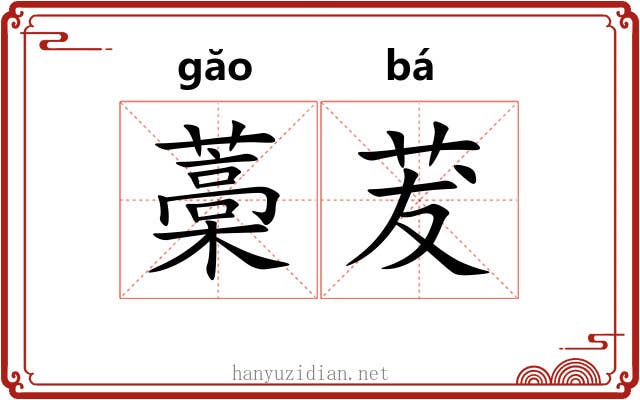 藁茇