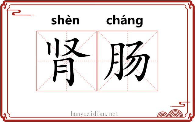 肾肠