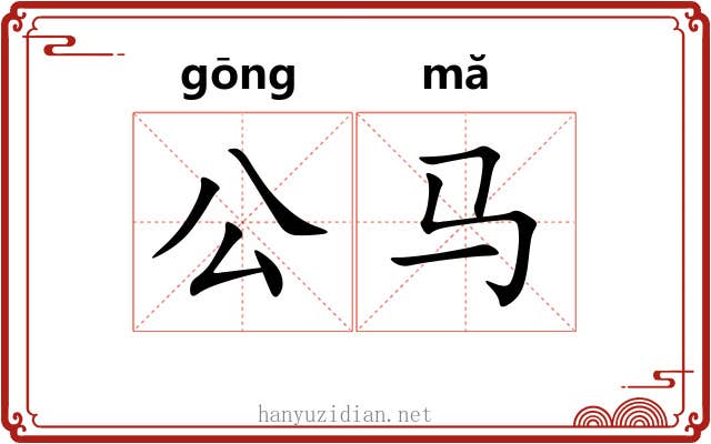公马