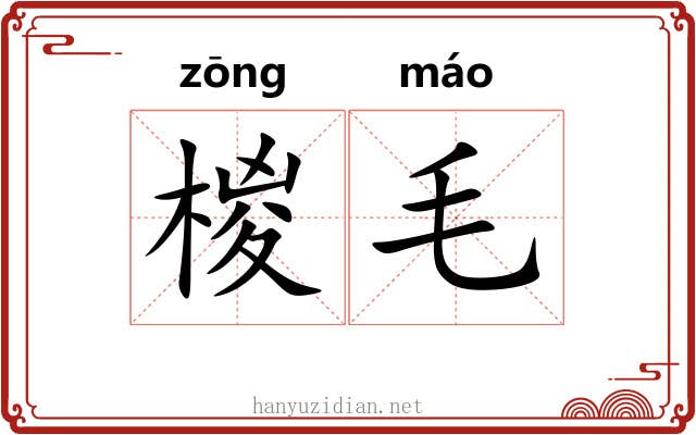 椶毛 椶毛