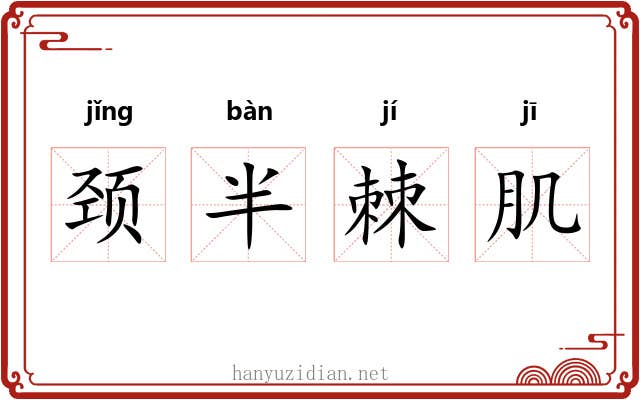 颈半棘肌 颈半棘肌