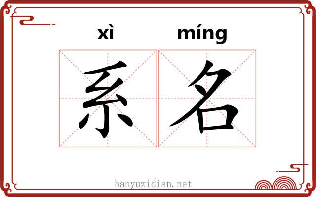 系名 系名