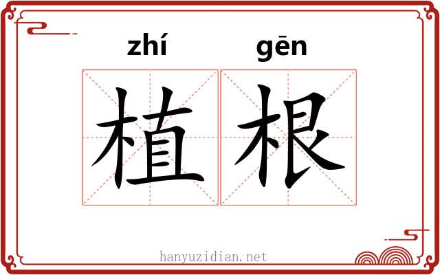 植根 植根