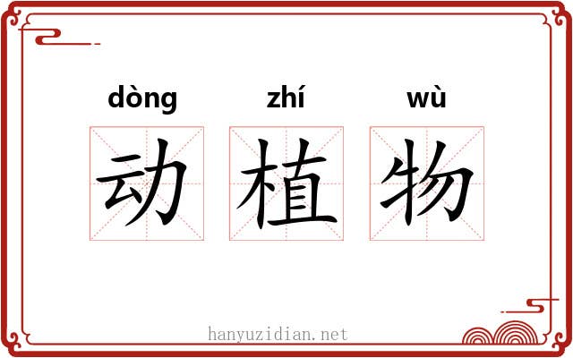 动植物