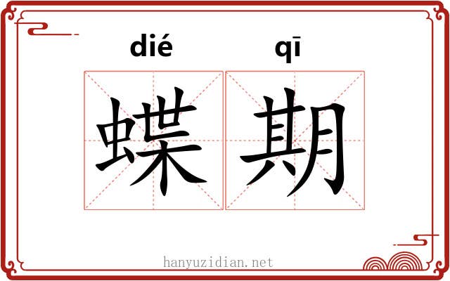 蝶期 蝶期